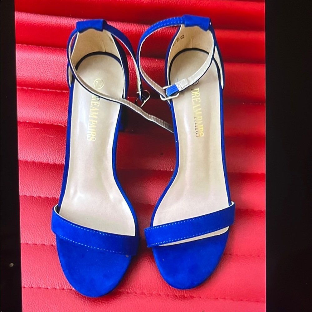 Blue Heels Elegant Minimalist Design